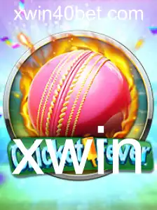 Explorando o Mundo do CricketFever: Regras e Como Jogar